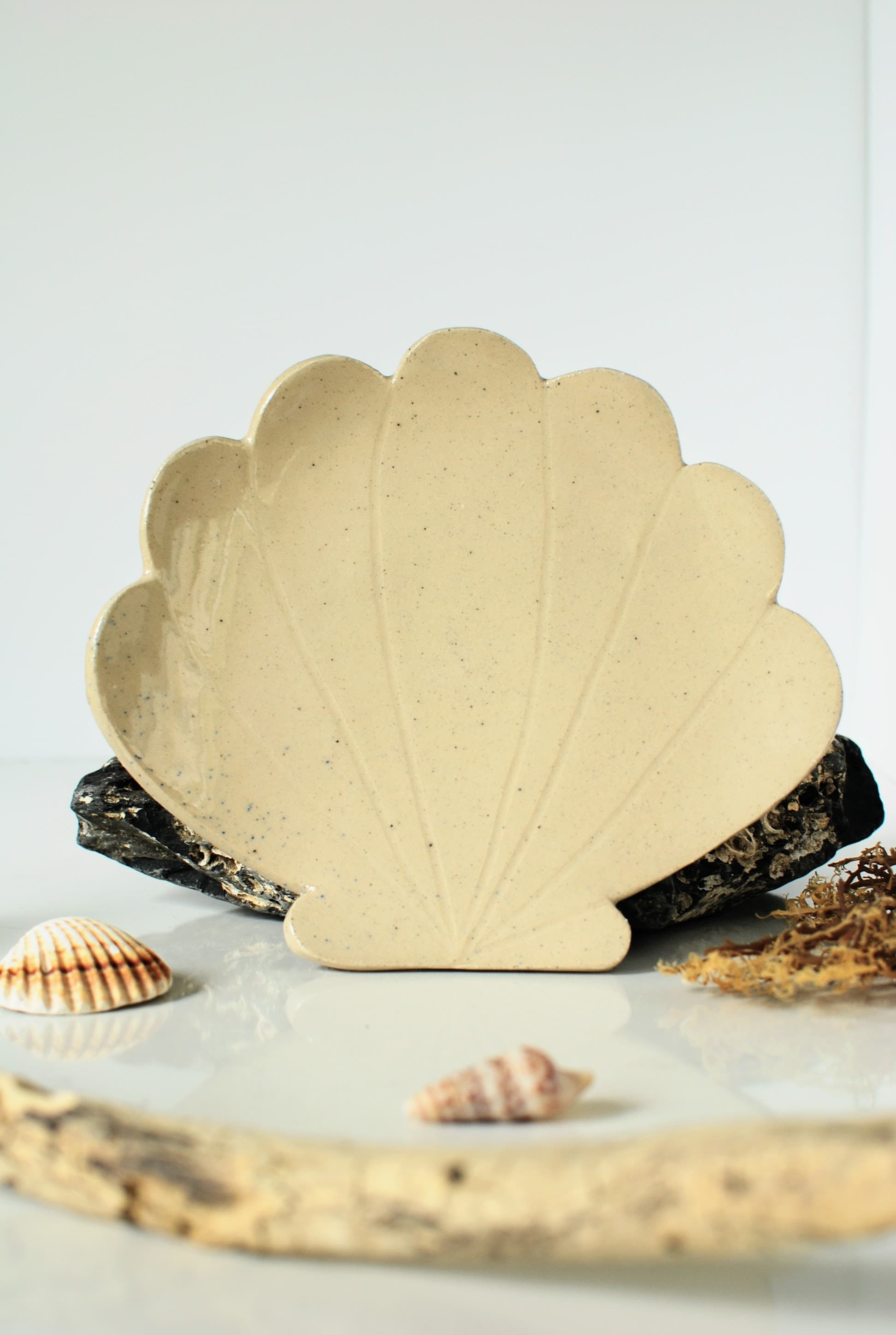 Handmade stoneware shell-shaped plate in transparent glaze over speckled clay, styled with seashells and driftwood β Sable collection, Studio Lippi Ceramics, in Dublin