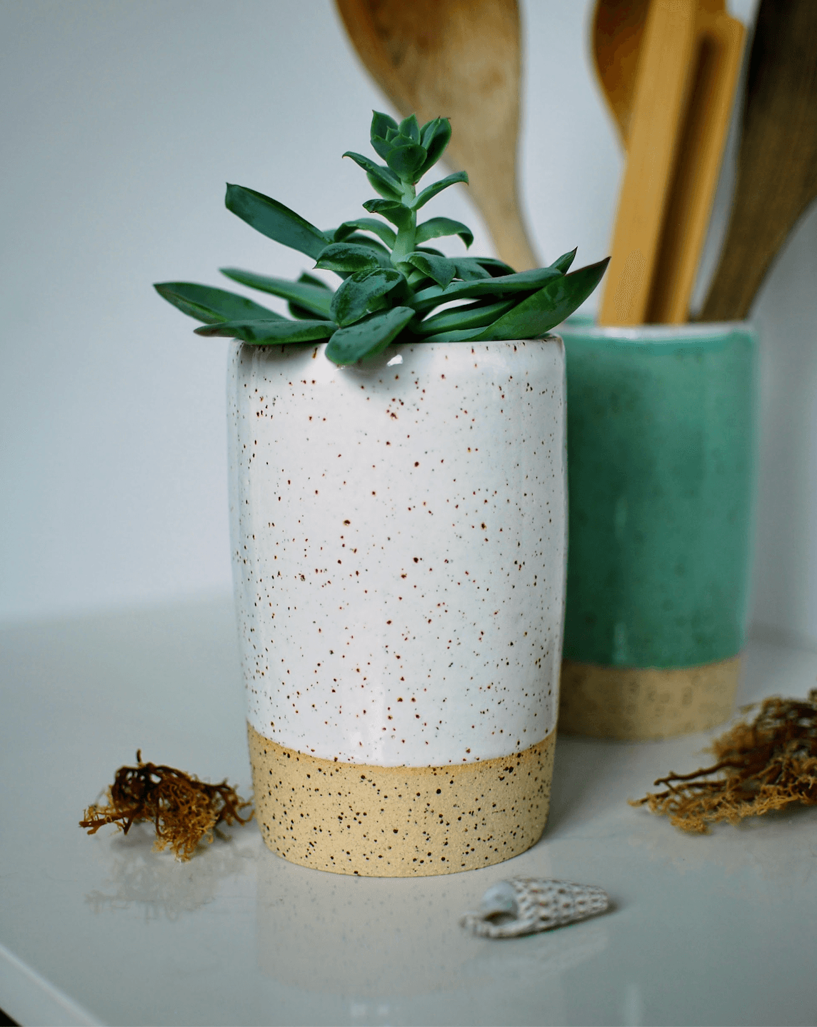 Handmade stoneware vase and utensil holder with white speckled glaze, styled with succulent plant β Chamonix collection, wheel-thrown ceramics made in Dublin, Ireland